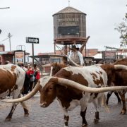 The Fort Worth City Council approved incentives this week for another phase of development in the historic Stockyards district.