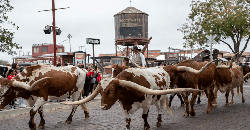 The Fort Worth City Council approved incentives this week for another phase of development in the historic Stockyards district.